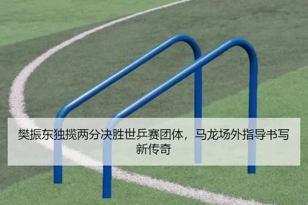 樊振东独揽两分决胜世乒赛团体，马龙场外指导书写新传奇